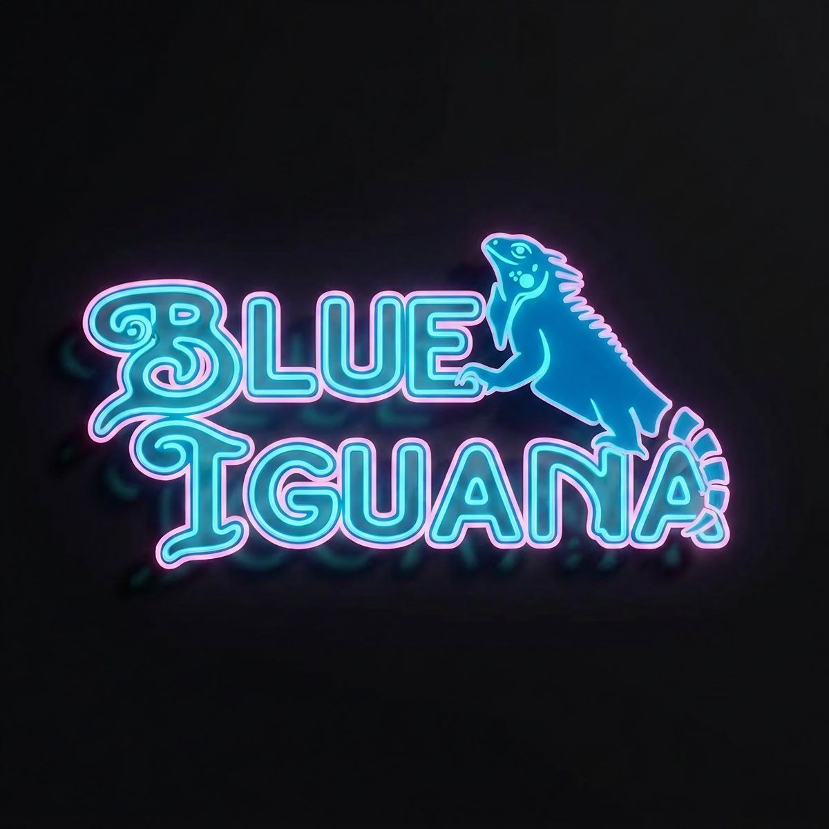 Visit Blue Iguana